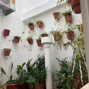Habitación con Cama King